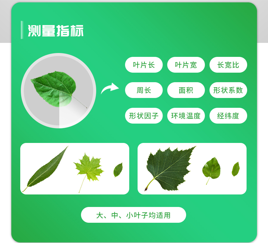 活體葉面積測定儀