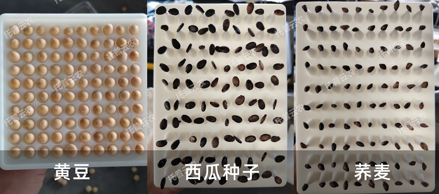 TP-SZC-50多功能真空數種置床臺