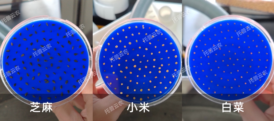 TP-SZC-50多功能真空數種置床臺